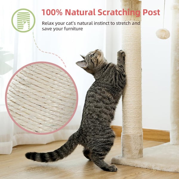 Cat online ceiling furniture