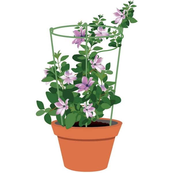 Mr.Garden 7.87 in. Dia x 11 in. H Green Mini Garden Circle Trellis, for Pot Plants Support Trellis (Set of 5)