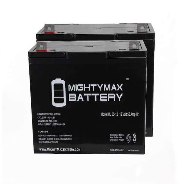 MIGHTY MAX BATTERY 12V 55Ah SLA AGM Replacement Battery with NB Terminal for SLA1160 - 2 Pack