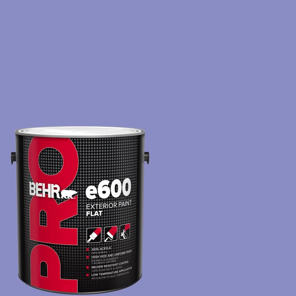 1 gal. #P550-5 Carriage Ride Flat Exterior Paint price history on PriceWatchPro
