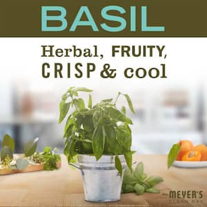 32 oz. Basil Multi-Surface Concentrate