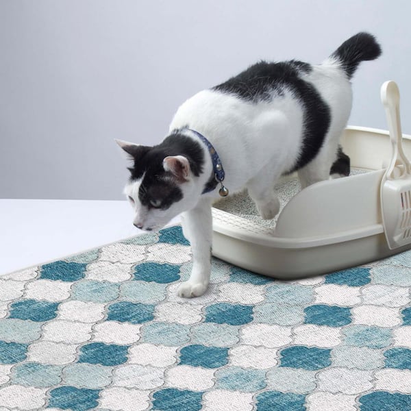 Cat Litter Mat for Cat Litter Box Litter Doormat Door Mats for Litter Box  Furniture Doormat Outdoor Large Extra Large Trap Cat Litter 