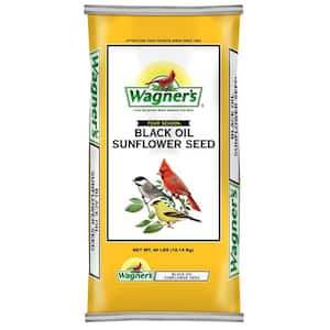 Wagner s 40 lb. Black Oil Sunflower Seed 76029 The Home Depot