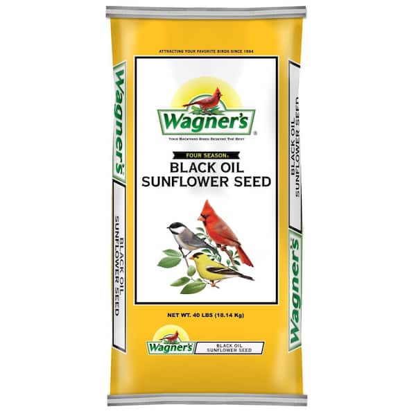 Wagner's 40 lb. Black Oil Sunflower Seed