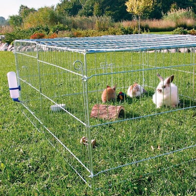 outdoor rabbit pen