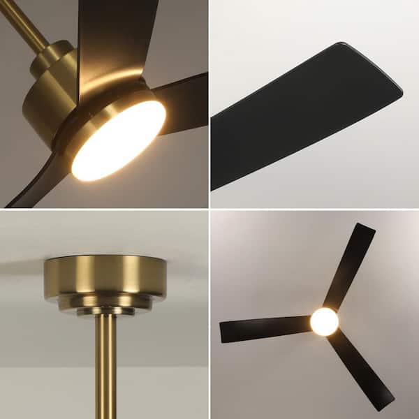 TOZING 52 in. Indoor Matte Black Gold Low Profile Modern LED