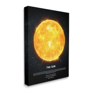 "Milky Way Sun Outer Space Astrological Facts" Design Fabrikken Unframed Astronomy Canvas Wall Art Print 16 in. x 20 in.