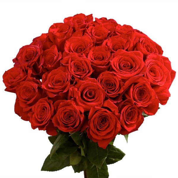 Unbranded 50 Stems - Fresh Cut Red Roses