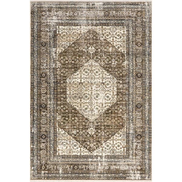 Charvi Brown 8 ft. 10 in. x 13 ft. Distressed Medallion Fringe Area Rug