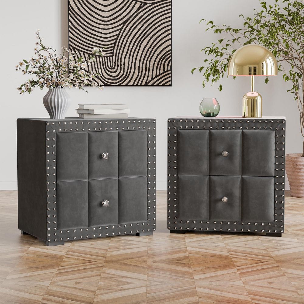 Robby Dark Gray Glam 2-Drawer 24 in. W Upholstered Nightstand with USB Ports (Set of 2)