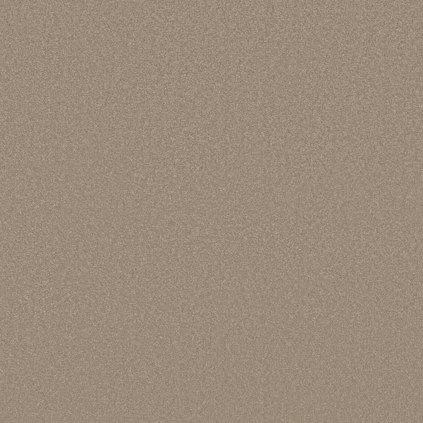 Lifeproof Park Royal II -Color Fawnwood Beige 52 oz. Nylon Texture Installed Carpet