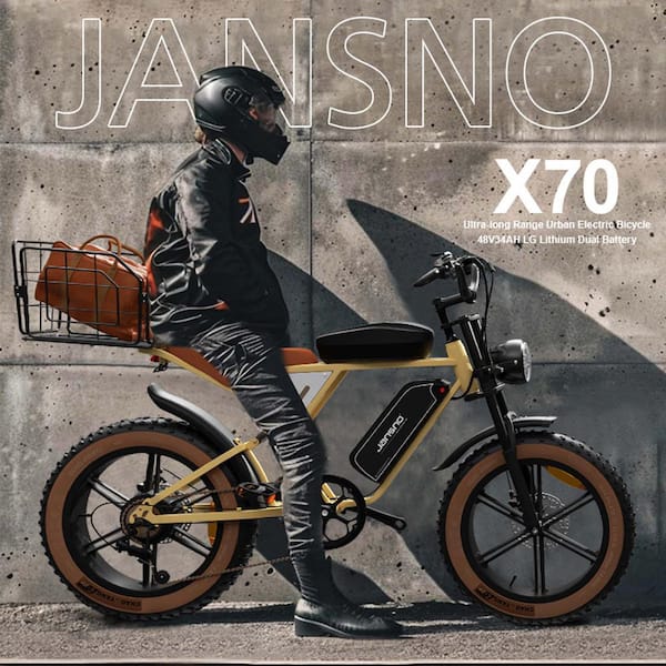 20 in., 750-Watt Electric Bike 48-Volt 15 AH Removable Lithium Battery E- Bike Mountain Bicycle GM-LH-155 - The Home Depot
