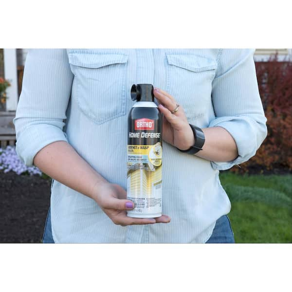 Ortho Home Defense 16 Oz Hornet And Wasp Killer The Home Depot