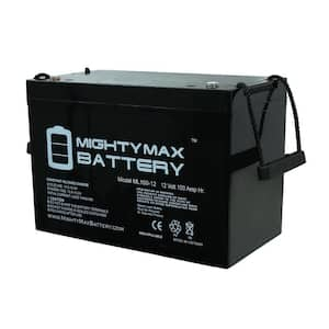 12V 100Ah SLA Battery for Trolling Motor