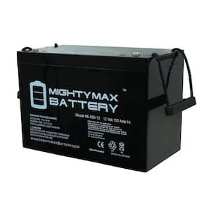 12V 100Ah SLA AGM Battery for Freedom Electric Twin Troller X10