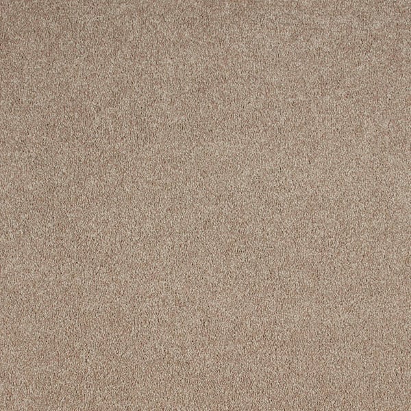 Lifeproof with Petproof Technology Still in Love II Friendship Beige 54 oz. Blend Texture Installed Carpet