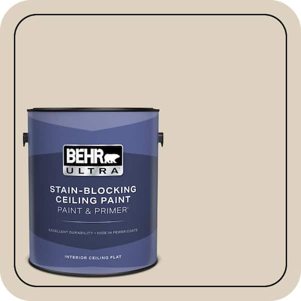 1 gal. #PPU7-10 Roman Plaster Ceiling Flat Interior Paint & Primer