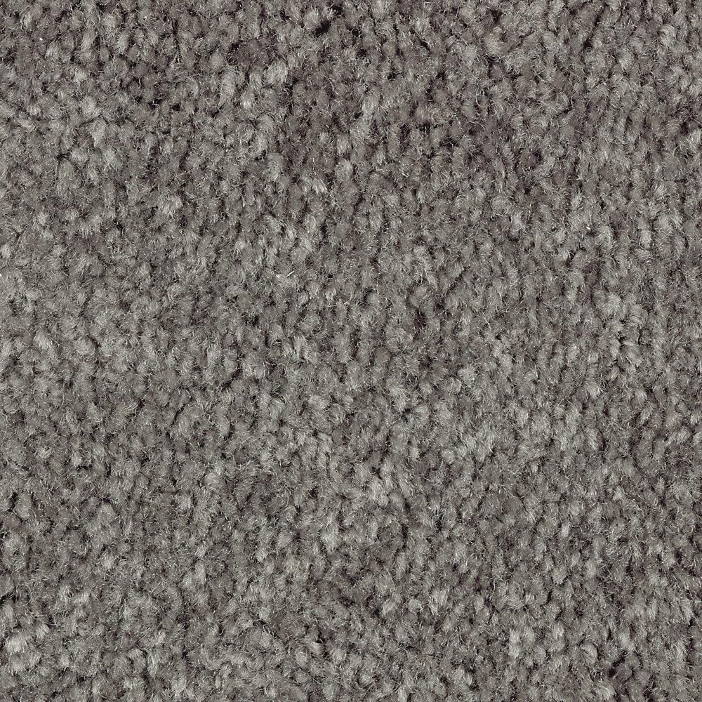 8 in. x 8 in. Texture Carpet Sample - Mason I -Color Windsor price history on PriceWatchPro