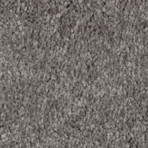 Lifeproof 8 In. X 8 In. Texture Carpet Sample - Mason I -color 