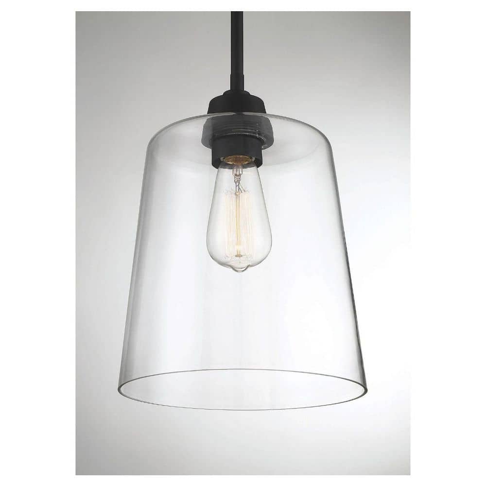 Templeton Matte Black Pendant Light with Clear Glass Shade