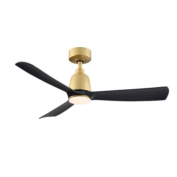 FANIMATION Kute 44 in. Indoor/Outdoor Brushed Satin with Black Blades Ceiling Fan with Remote Control and DC Motor