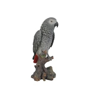 Grey Gabon Parrot on Stump Garden Statue