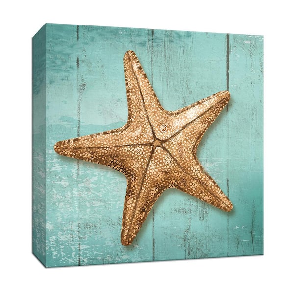 PTM Images 15 in. x 15 in. ''Starfish'' By Canvas Wall Art 9-164843 ...