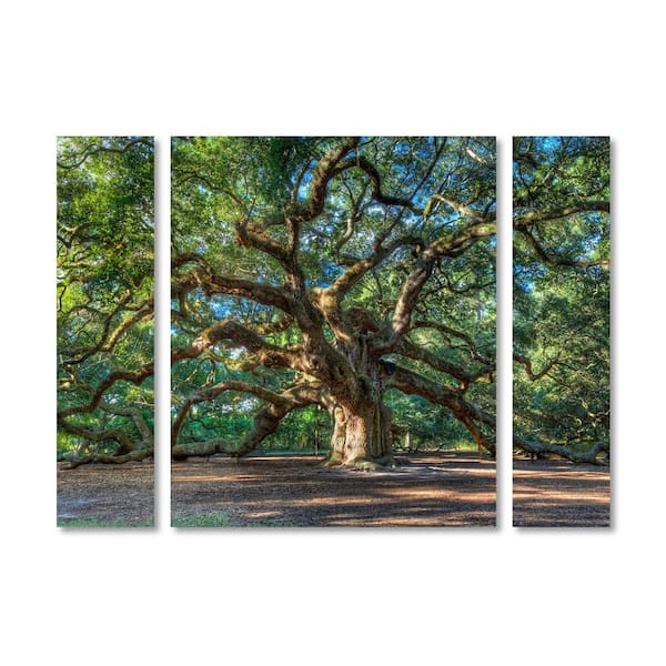 Trademark Fine Art 24 in. x 32 in. "Angel Oak Charleston" by Pierre Leclerc Printed Canvas Wall Art