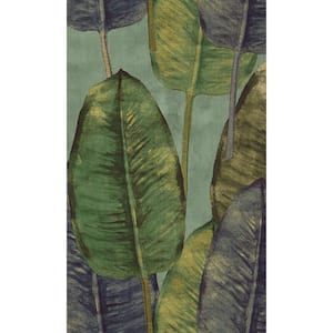 Rubber Tree Soft Green Non-Woven Paste the Wall Textured Wallpaper 57  sq. ft.