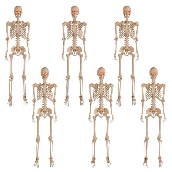 6-Pack 5 ft. Grave & Bones Poseable Skeleton