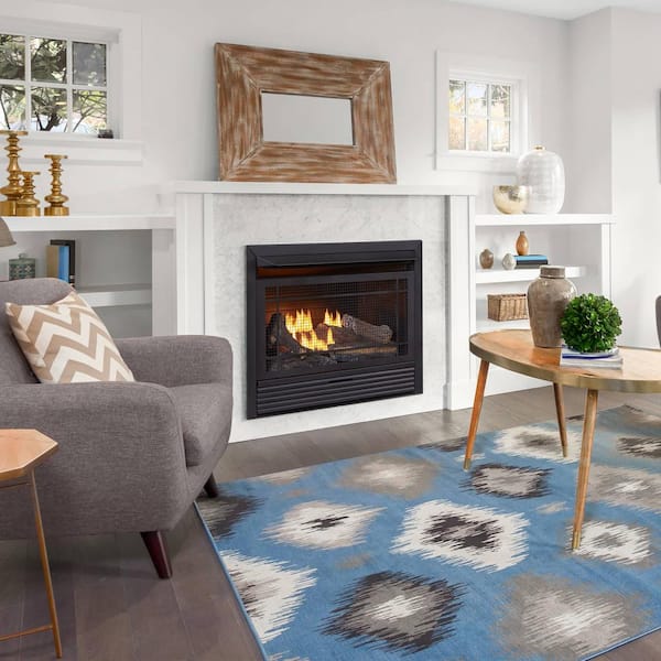 Duluth Forge Dual Fuel Ventless Gas Fireplace Insert - 26,000 BTU, Remote  Control FDF300R 170032 - The Home Depot