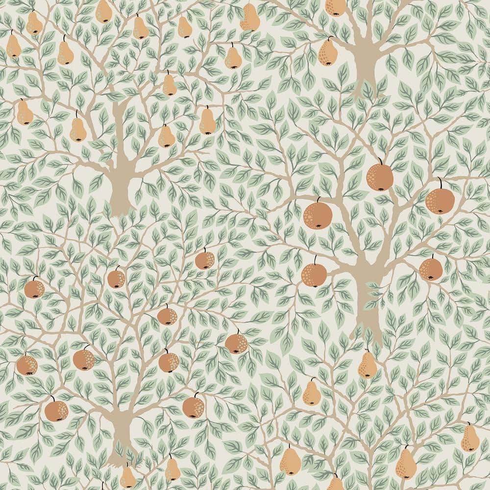 Pomona Multicolor Fruit Tree Paper Strippable Roll (Covers 56.4 sq. ft.) price history on PriceWatchPro