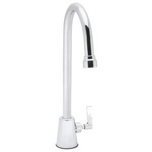 Commander Single-Handle Single Lever Laboratory Faucet in Polished Chrome