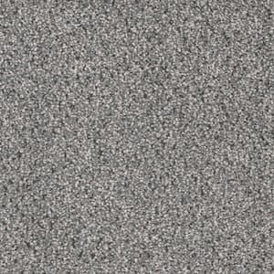 Gilbert Park I - Farmhouse - Gray 48 oz. Polyester Texture Installed Carpet