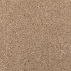 Plush Dreams II - Cozy-Beige 12 ft. 53 oz. Triexta Texture Installed Carpet