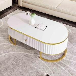 47.2 in. White/Gold Oval MDF Coffee Table with Drawers and Curved Profile Design