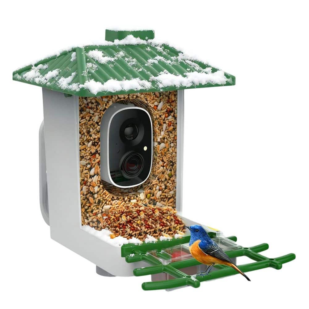Green Plastic Wall Mount Smart Bird Feeder Camera WiFi Solar Powered 2K HD Weatherproof for Wild Birds with AI Alerts price history on PriceWatchPro