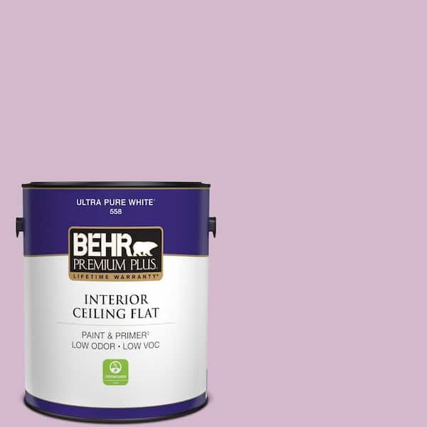 1 gal. #M110-3 Bedazzled Ceiling Flat Interior Paint