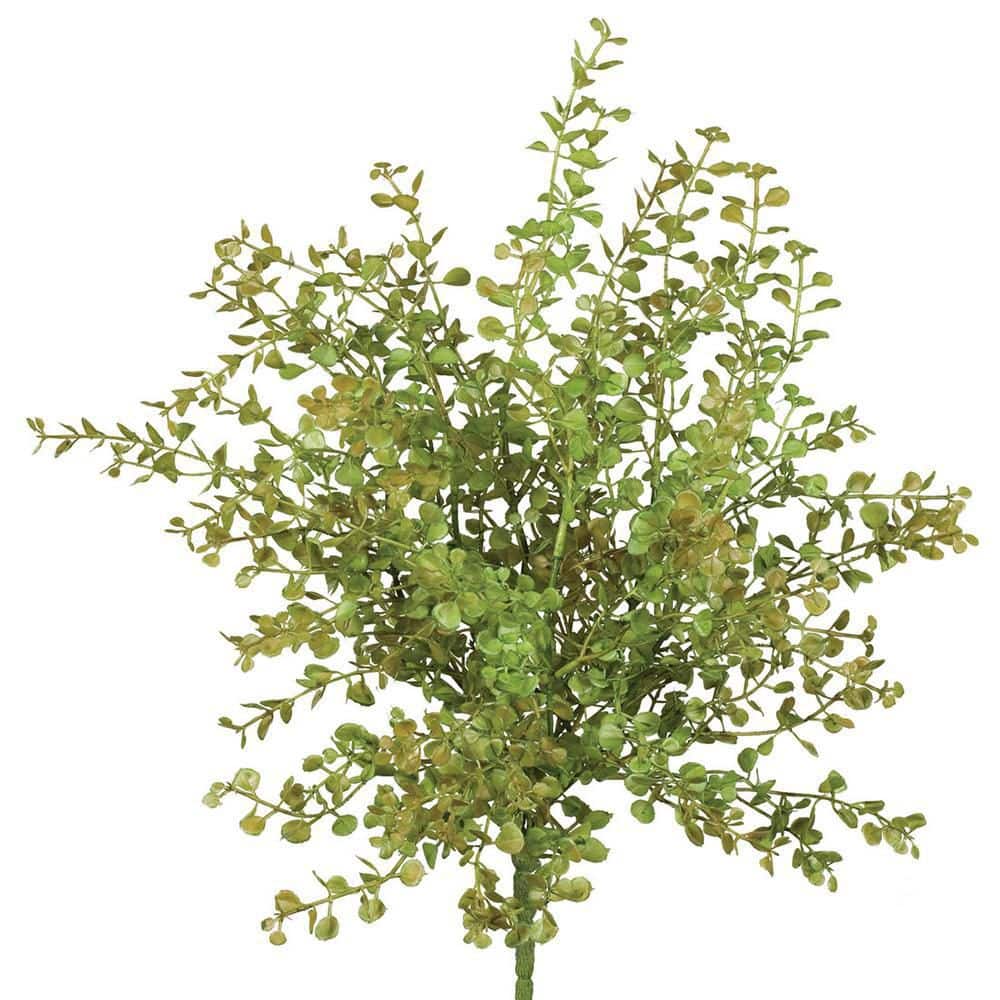 SULLIVANS Artificial 14 in. Green Baby Grass Pick 19370PT The Home Depot