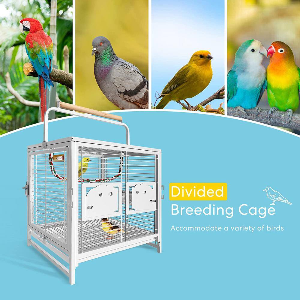White Wrought Iron Bird Travel Carrier Cage with Wooden Perch