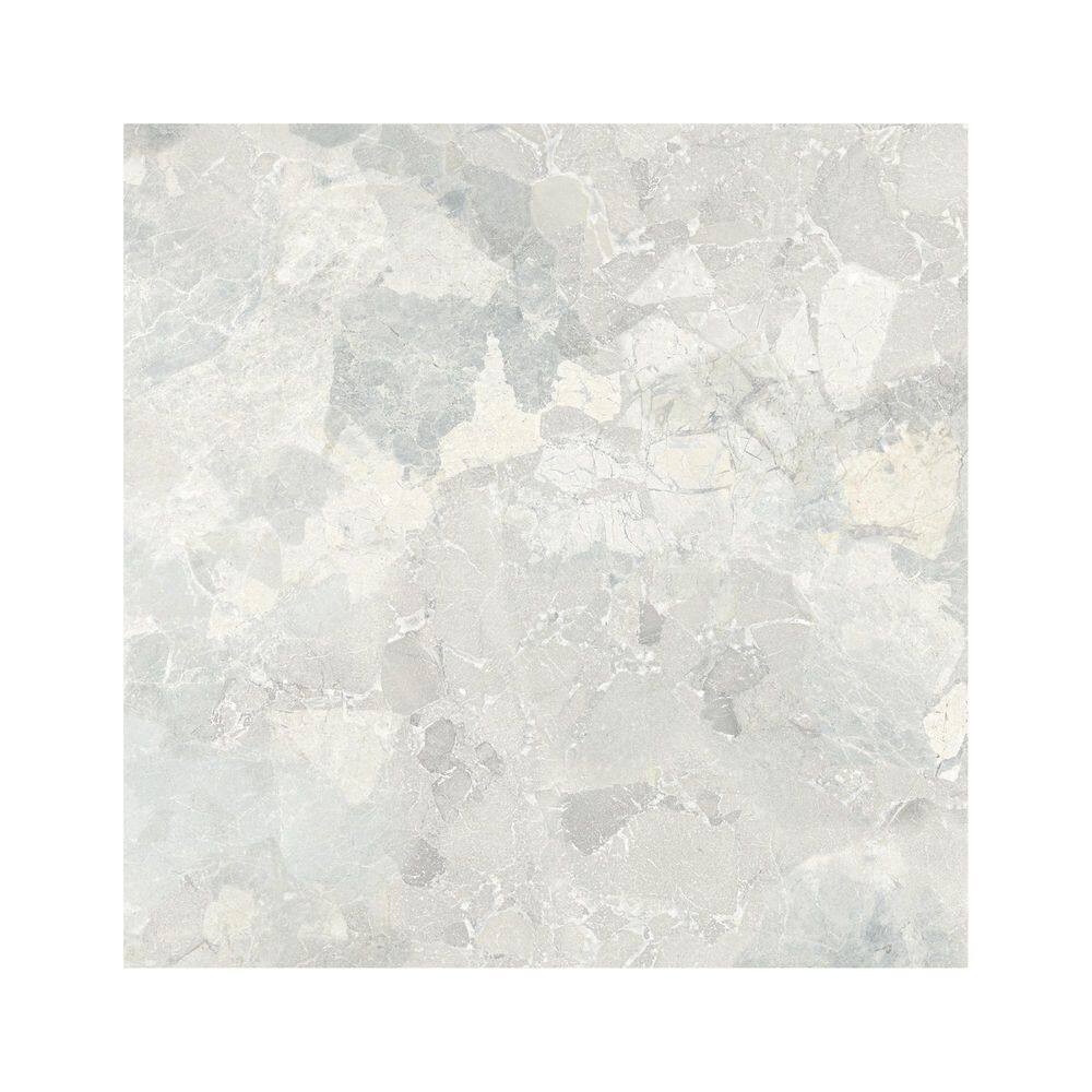 Italian Ambience Terrazzo White 6 in. x 6 in. x 8mm Matte Porcelain Floor and Wall Tile Sample price history on PriceWatchPro