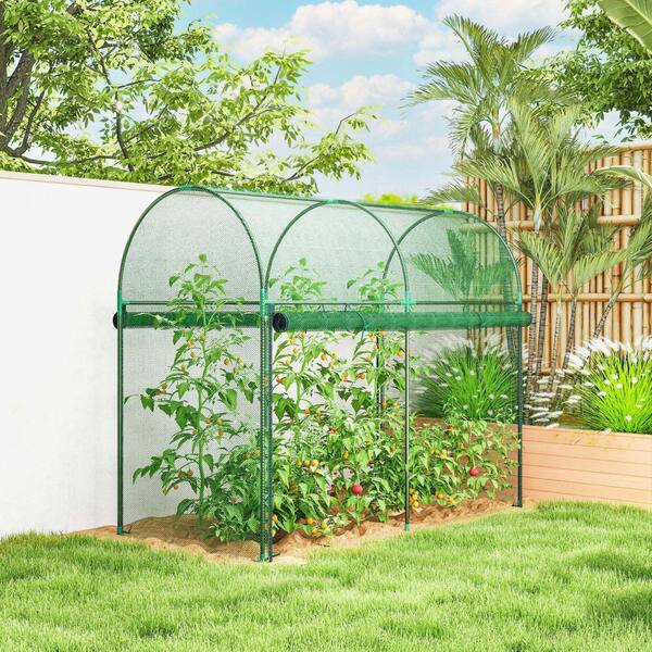 6 ft. W x 3 ft. D Outdoor Crop Cage, Large Plant Protection Tent