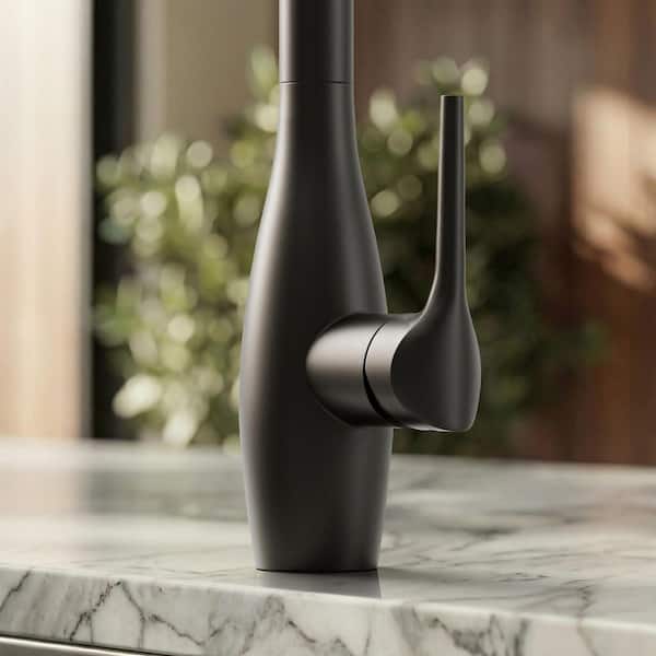 GRANDJOY 23.7 in. H 2-Spray 360° Spout Swivel Single-​Handle Pull