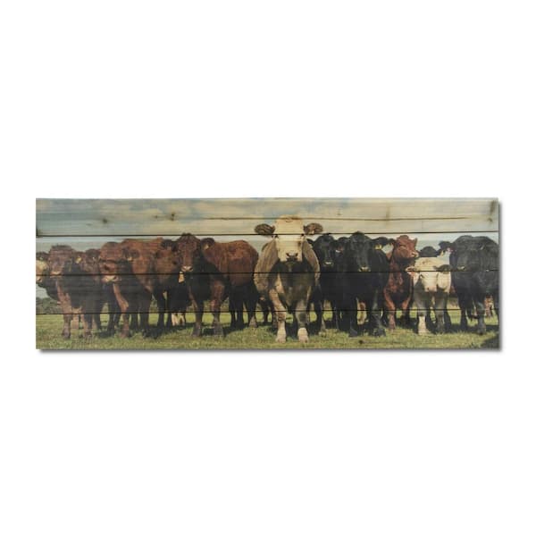 HomeRoots Charlie Charming Cow Herd by Unframed Art Print 12 in. x 36 in.