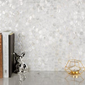 Conchella Mini Penny White 11-1/2 in. x 11-5/8 in. Natural Shell Mosaic Tile (0.95 sq. ft./Each)