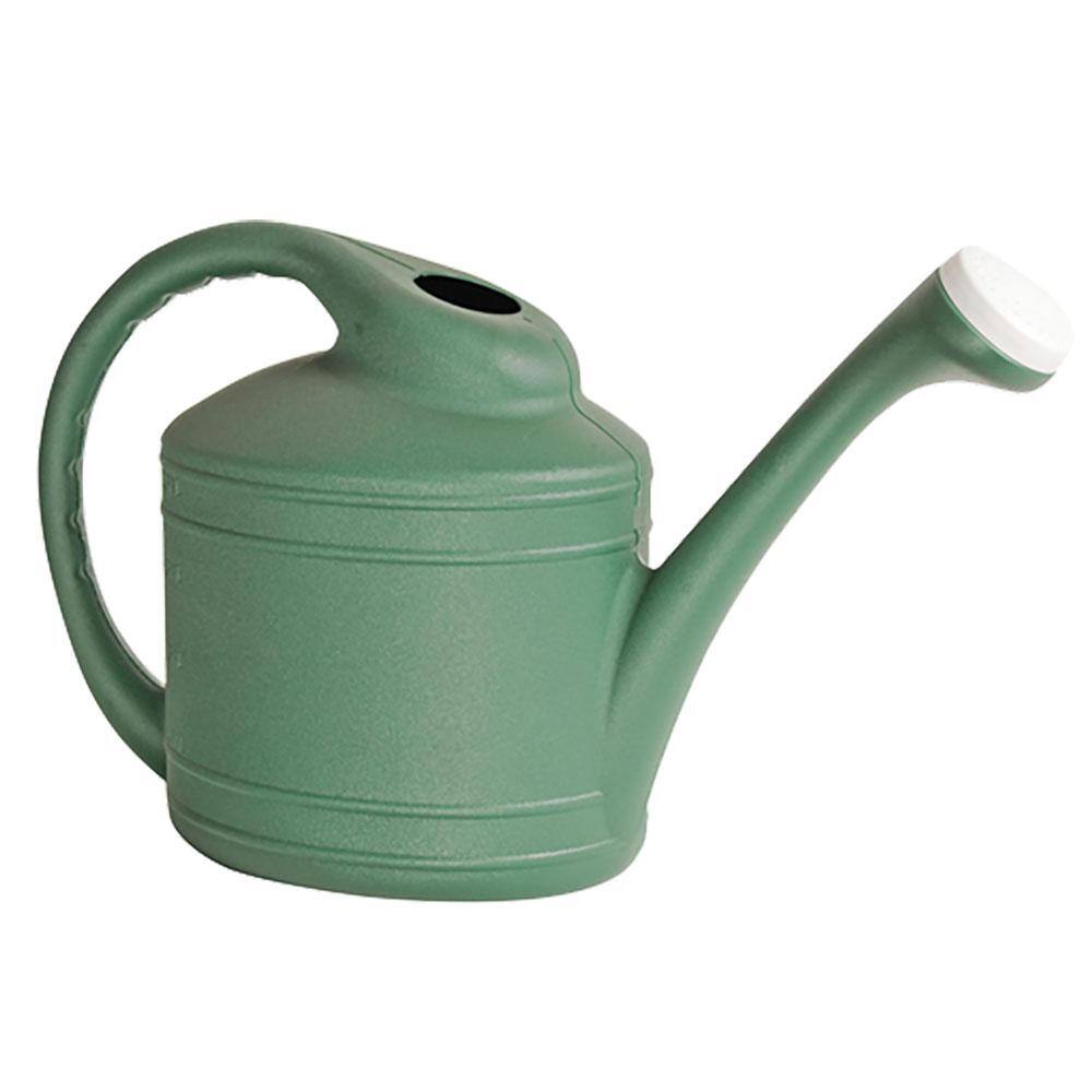 Large Green Plastic Garden Watering Can with Removable Spout, 2-Pack
