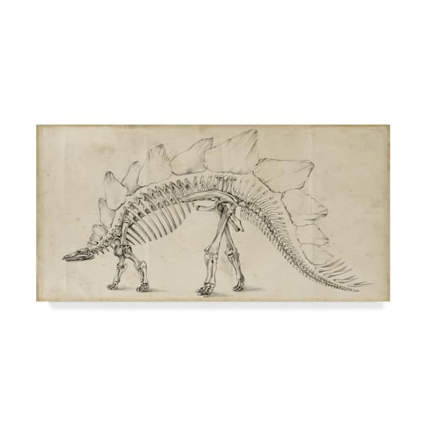 Trademark Fine Art Ethan Harper Dinosaur Study Iii Canvas Unframed Photography Wall Art 16in. x 32 in