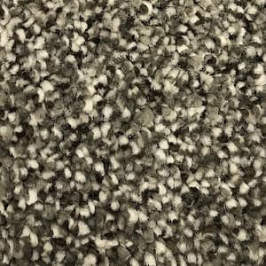 Perfected I  - Top Notch - Gray 40 oz. SD Polyester Texture Installed Carpet