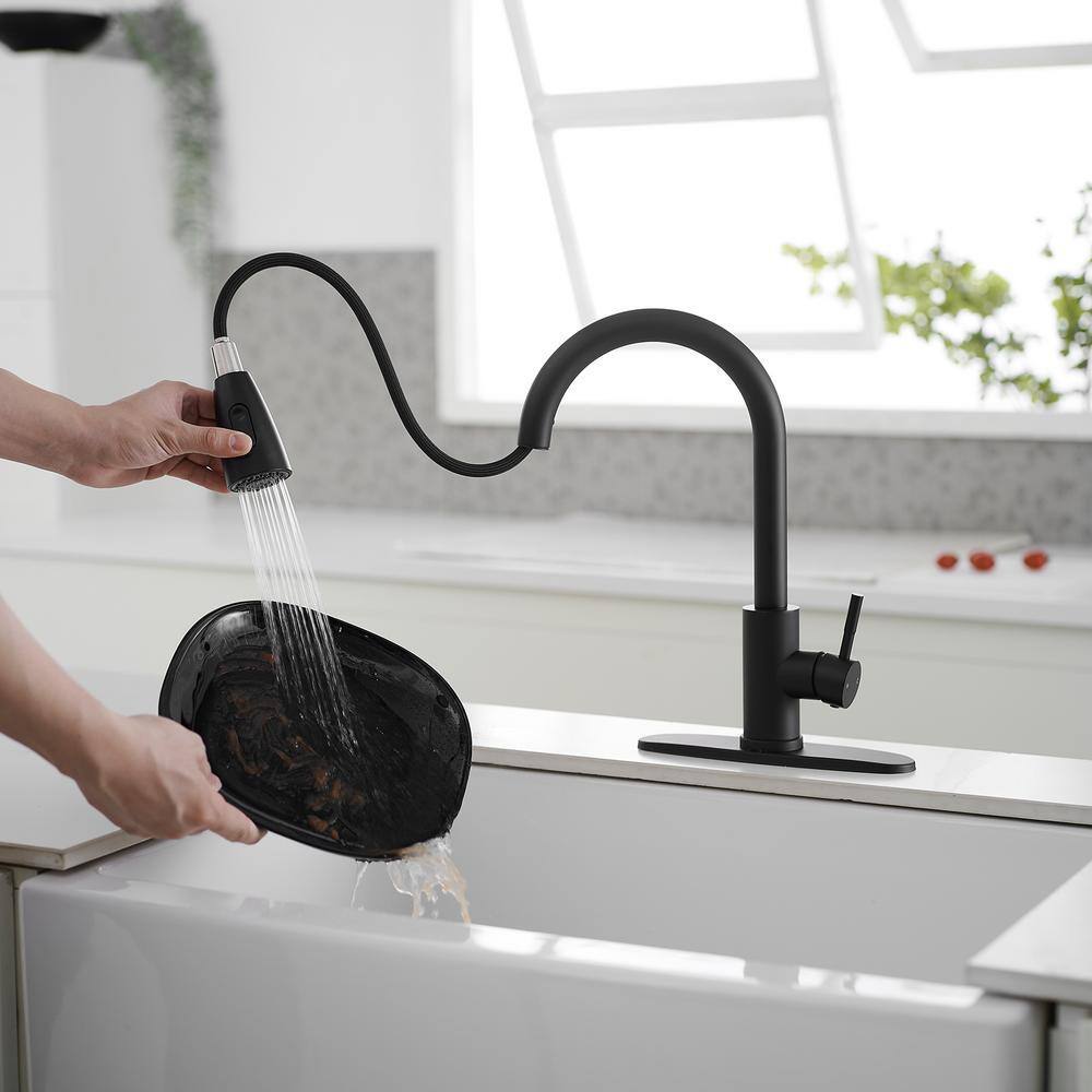 Matte Black Brass Single Handle Pull Down Kitchen Faucet
