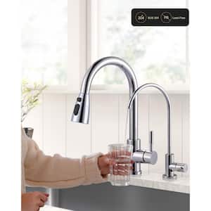 Single Handle Pull Down Sprayer Kitchen Faucet with Water Filter Faucet in Polished Chrome